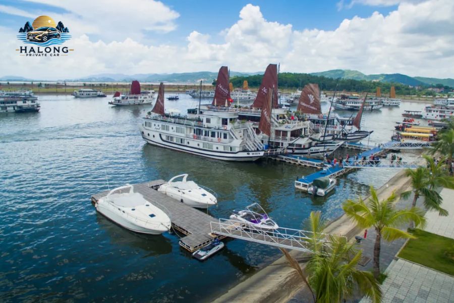 Halong bay 1 day cruise - Halong Private Car