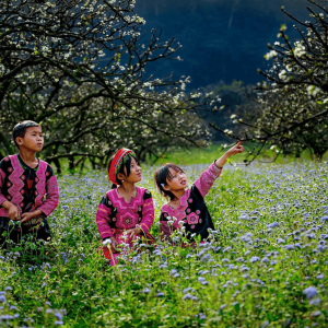 Halong bay to Ha Giang Private Car - Halong Private Car