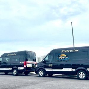 Halong Bay to Ha Giang Luxury Car- Halong Private Car Travel