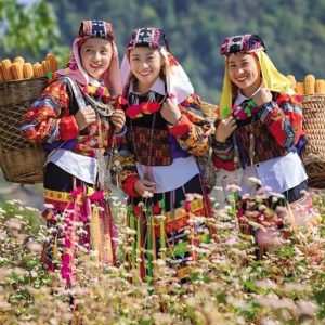 Halong Bay to Ha Giang Luxury Car- Halong Private Car Travel