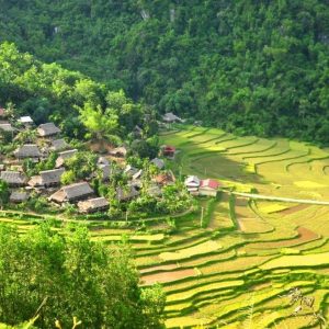 Halong Bay to Mai Chau by private car- Halong Private Car Travel