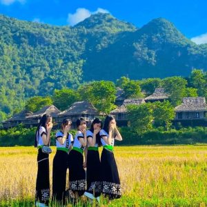 Halong Bay to Mai Chau by private car- Halong Private Car Travel