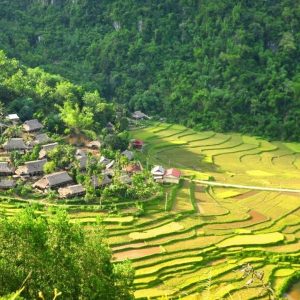 Halong Bay to Mai Chau luxury car- Halong Private Car Travel