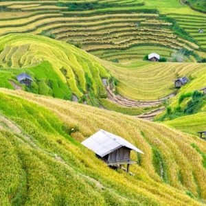 Halong Bay to Mai Chau luxury car- Halong Private Car Travel