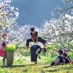 Halong Bay to Moc Chau Luxury Car- Halong Private Car Travell