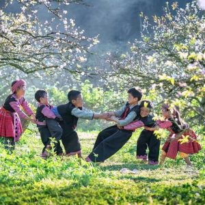 Halong Bay to Moc Chau Luxury Car- Halong Private Car Travell