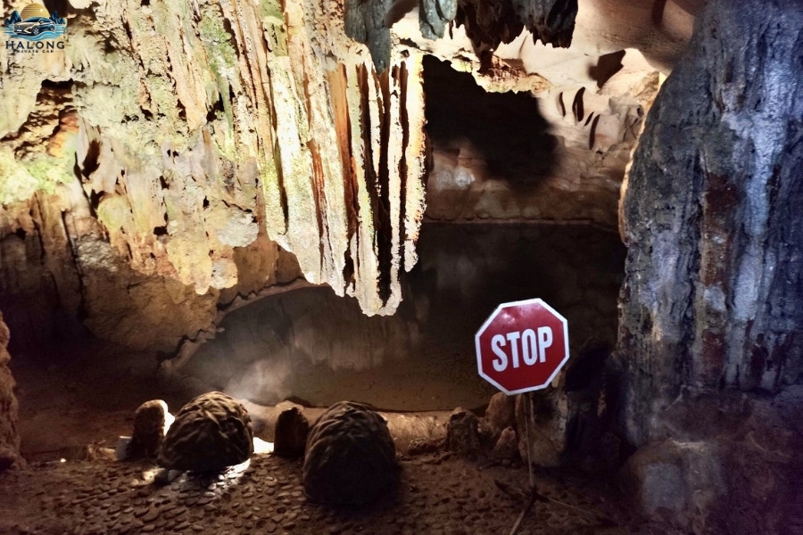 Sung Sot Cave - Halong Private Car