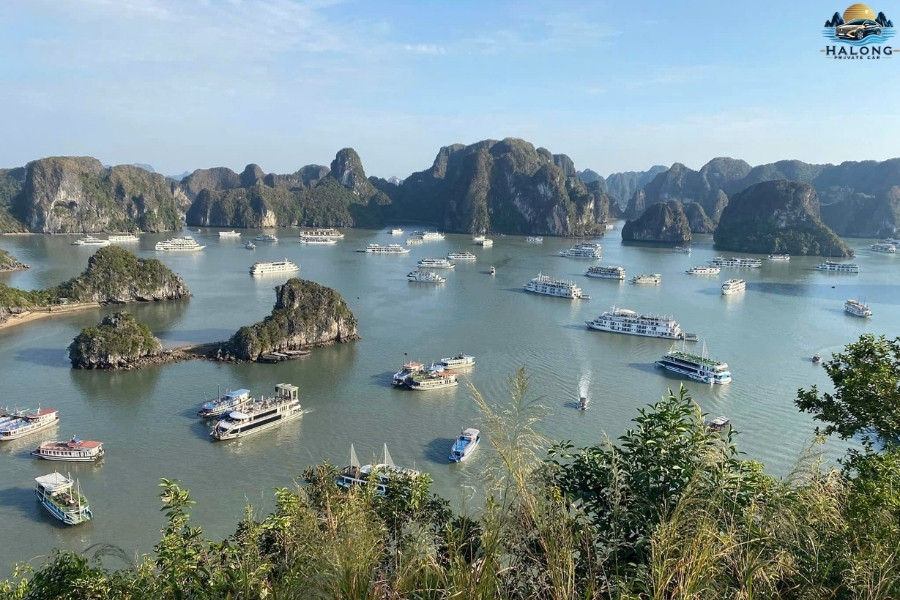Sung Sot Cave - Halong Private Car