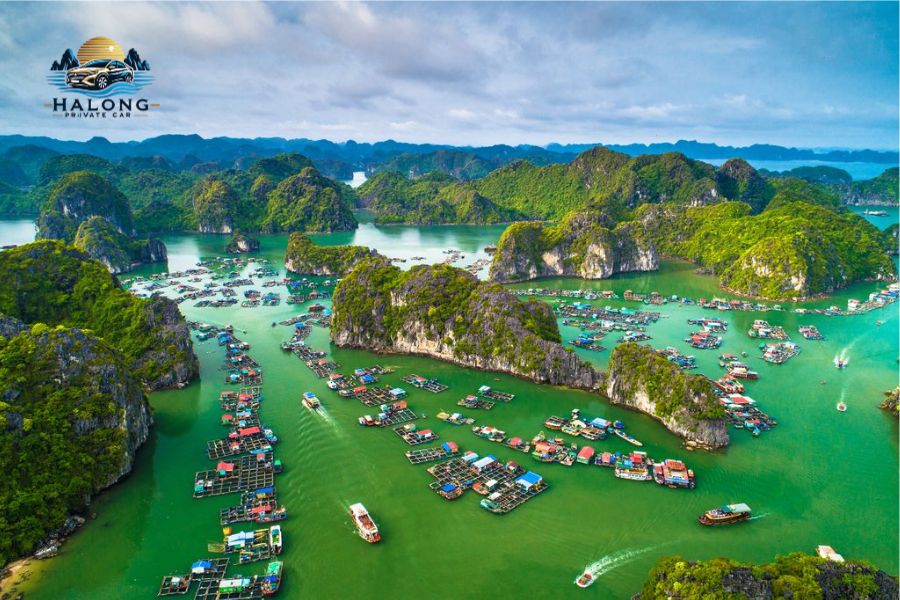 Tuan Chau Island hotels - Halong Private Car