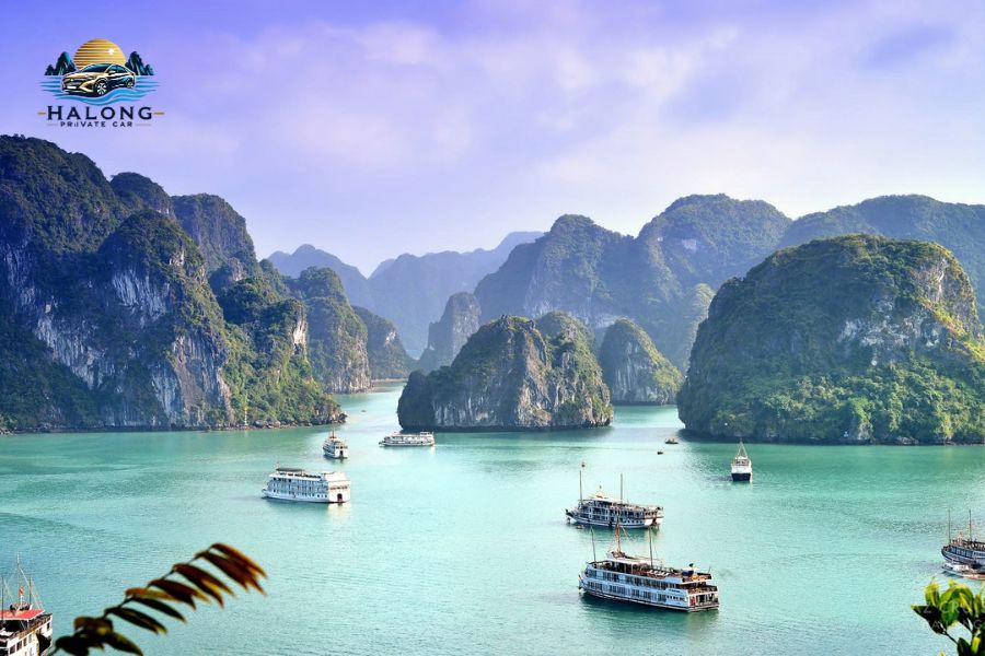 Tuan Chau Island hotels - Halong Private Car