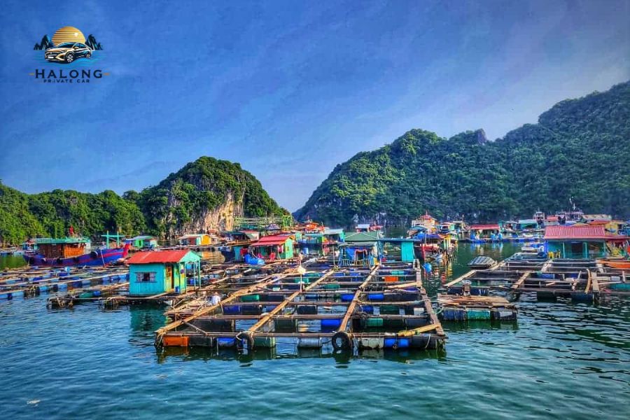 Kayaking in Halong Bay - Halong Private Car