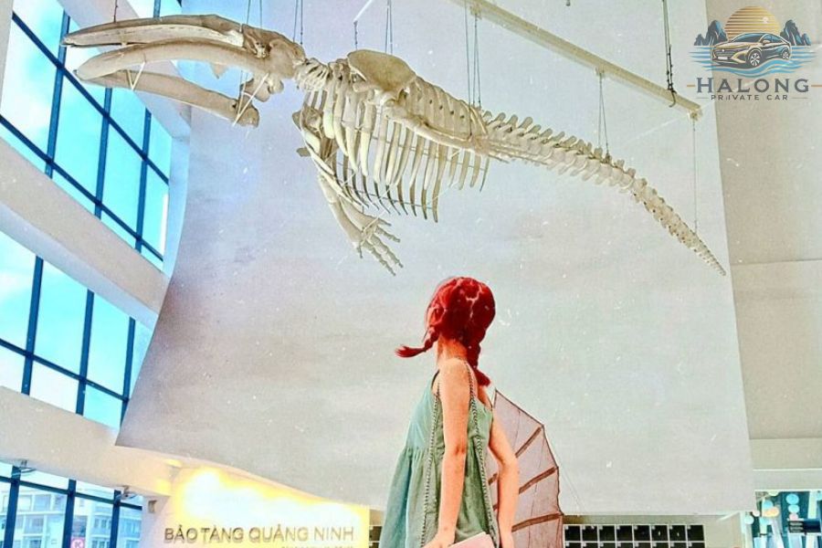 What To Do In Halong Bay Besides A Cruise - Halong Private Car