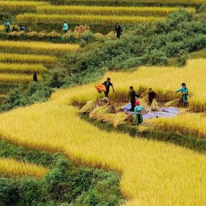 Cat Ba Island To Sapa By Car - Halong Private Car