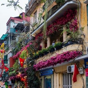 Hanoi To Halong Bay By Private Car - Halong Private Car