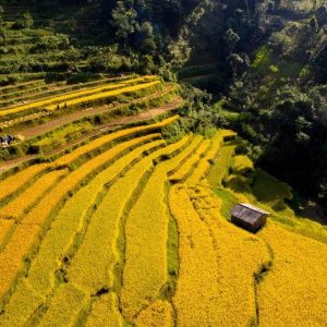 Hanoi to Cao Bang By Private Car - Halong Private Car