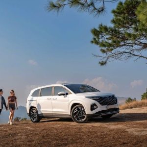 Cao Bang to Ninh Binh Private Car - Halong Private Car