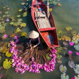 Cao Bang to Ninh Binh By Car - Halong Private Car