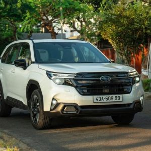 Ha Giang to Ninh Binh Private Car Halong Private Car