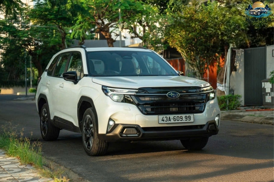 Ha Giang to Ninh Binh Private Car Halong Private Car