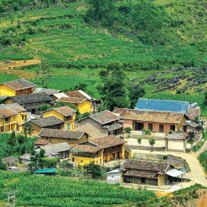 Sapa to Lo Lo Chai Village private car - Halong Private Car