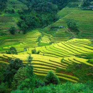 Cao Bang To Ha Giang By Car - Halong Private Car