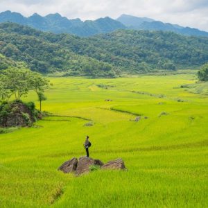 Private Car From Mai Chau To Pu Luong - Halong Private Car