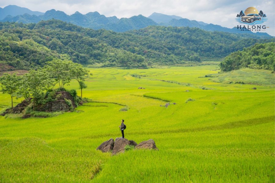 Moc Chau To Pu Luong By Car - Halong Private Car