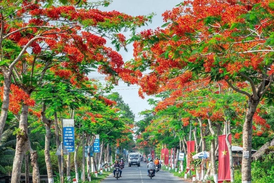 Hai Phong to Moc Chau private car - Halong Private Car