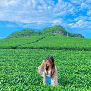 Hai Phong to Moc Chau private car - Halong Private Car