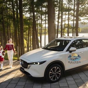 Ha Giang To Sapa By Private Car Rental - Halong Private Car