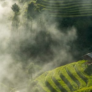 Sapa To Mu Cang Chai Private Car Transfer - Halong Private Car
