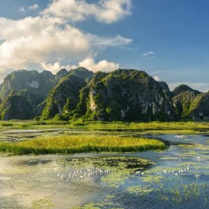 Private car Mu Cang Chai to Ninh Binh - Halong Private Car