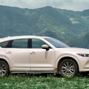 Hai Phong To Cao Bang By Car - Halong Private Car