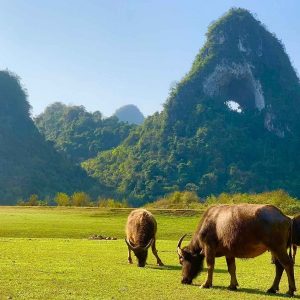 Hai Phong To Cao Bang Private Car - Halong Private Car