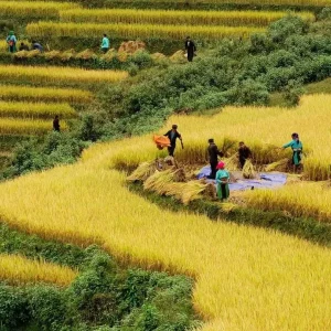 Mai Chau To Nghia Lo By Private Car - Halong Private Car