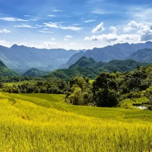 Ninh Binh To Pu Luong By Car - Halong Private Car