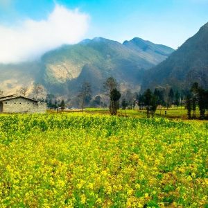 Ninh Binh to Ha Giang By Car - Halong Private Car