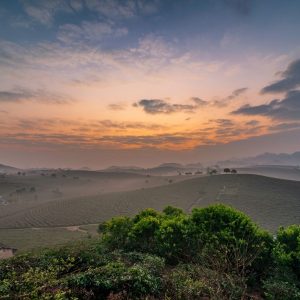 Pu Luong to Moc Chau By Private Car - Halong Private Car
