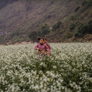 Pu Luong to Moc Chau By Car - Halong Private Car