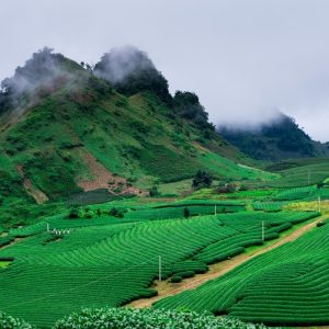 Pu Luong to Moc Chau By Car - Halong Private Car
