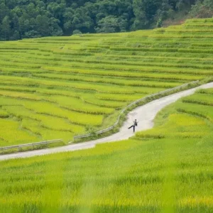 Hai Phong To Pu Luong By Private Car - Halong Private Car