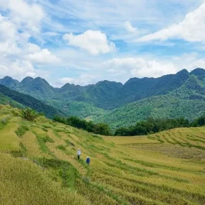 Pu Luong to Hanoi By Car - Halong Private Car
