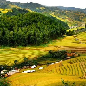Sapa To Pu Luong By Private Car Rental - Halong Private Car