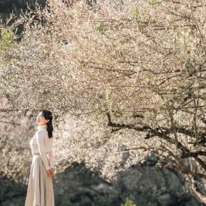 Private car Cat Ba Island to Moc Chau - Halong Private Car