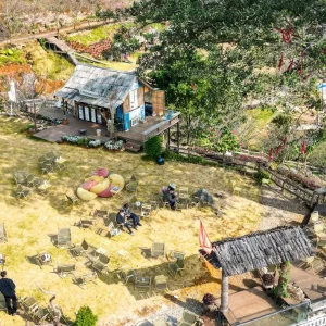 Private car Cat Ba Island to Moc Chau - Halong Private Car