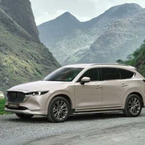 Sapa to Tam Dao private car - Halong Private Car