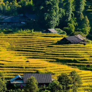 Mu Cang Chai To Sapa By Car Transfer - Halong Private Car