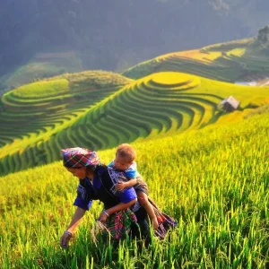 Ninh Binh To Mu Cang Chai By Private Car Transfer - Halong Private Car