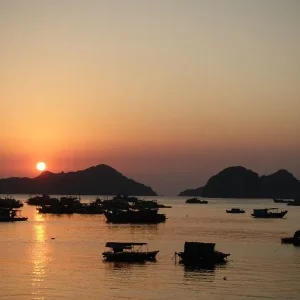 Ninh Binh To Cat Ba Island By Car - Halong Private Car