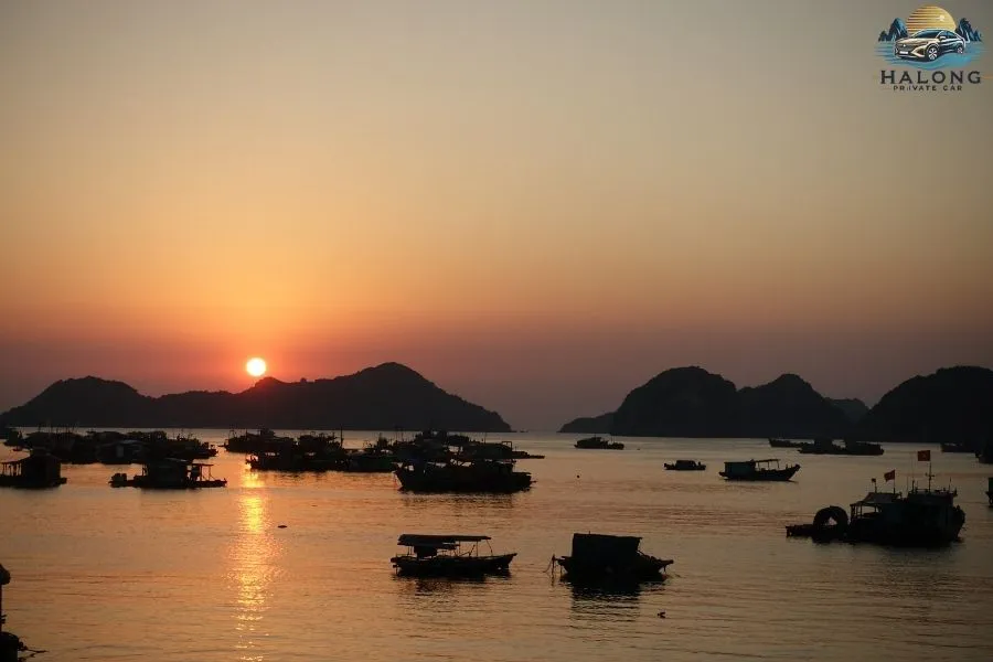 Ninh Binh To Cat Ba Island By Car - Halong Private Car
